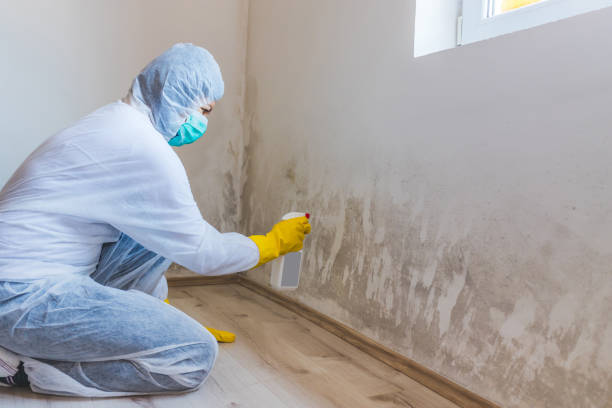 Hvac And Air Duct Mold Remediation inspection of HVAC system in South Orange